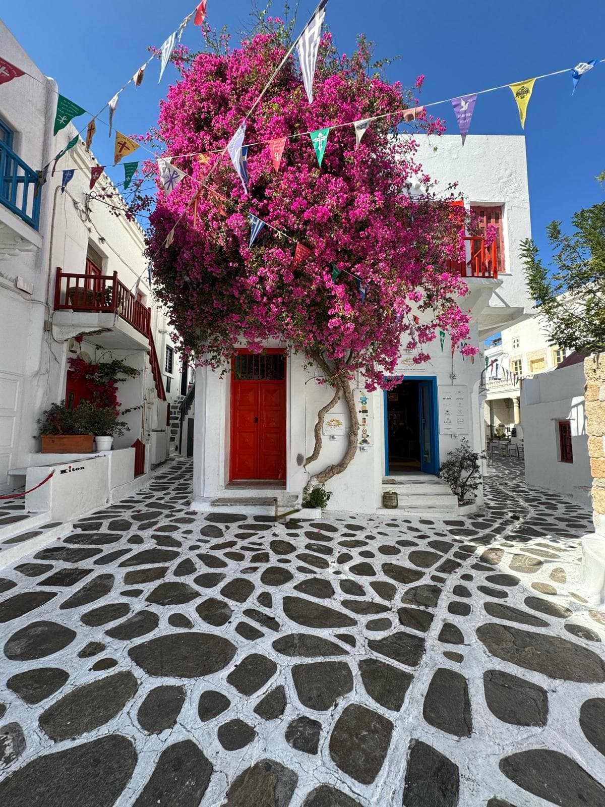 THE GREECE EDIT, 2024