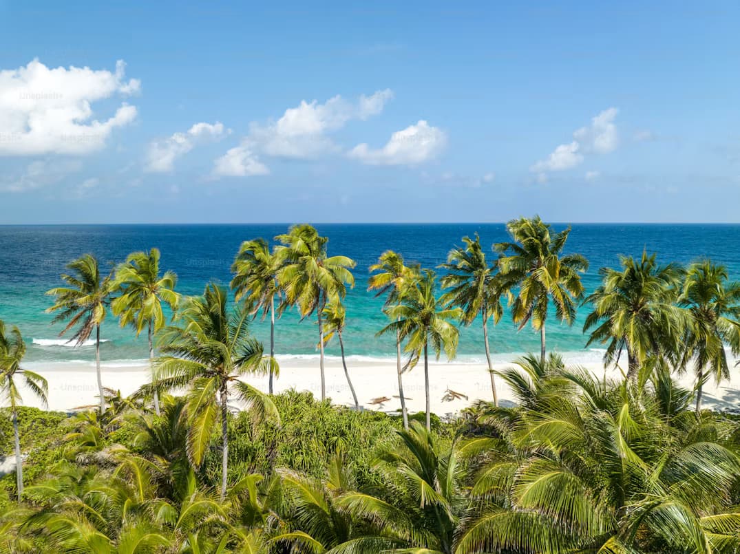 Travel planning and questions